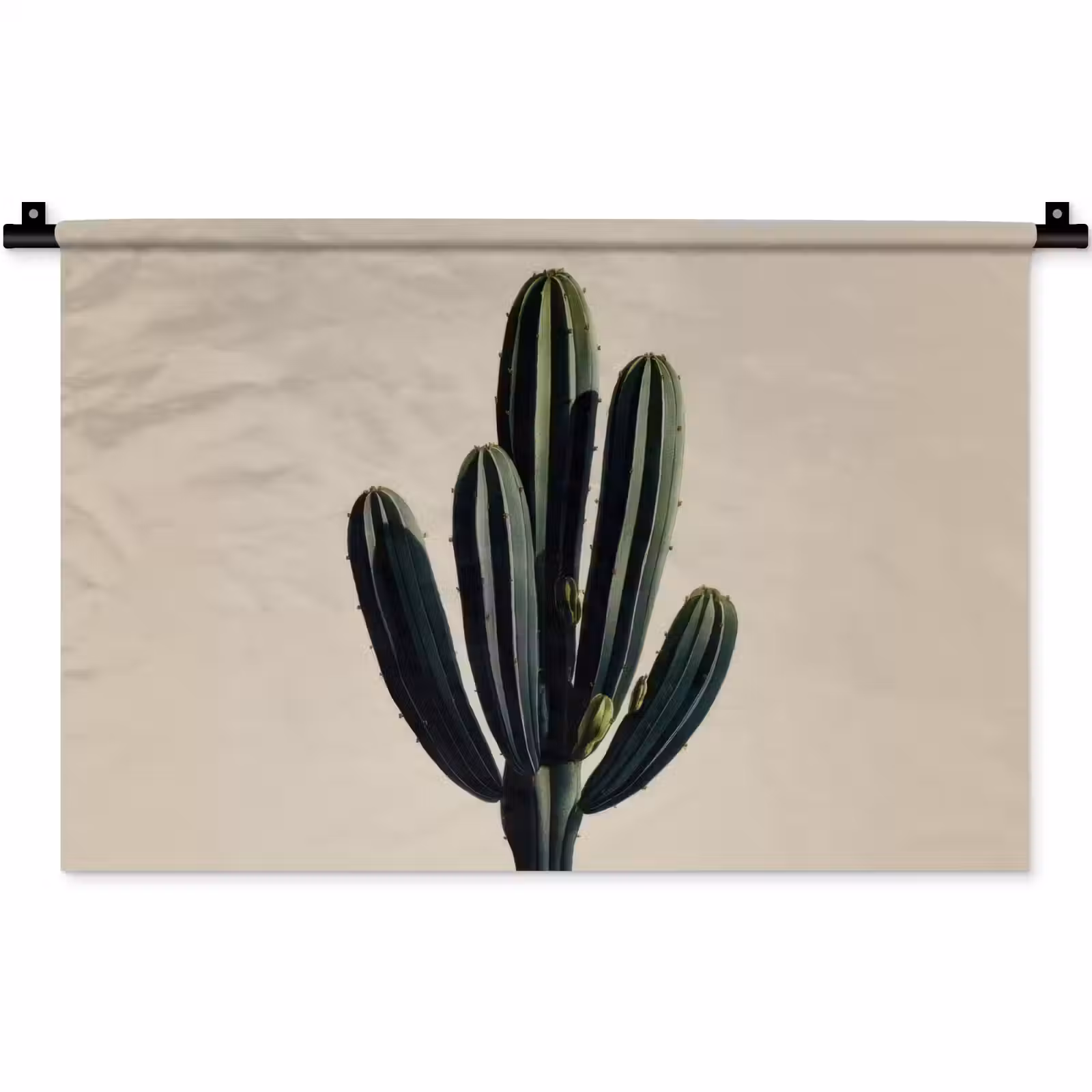 Wandkleed - Cactus - Subtiel - Groen — 1