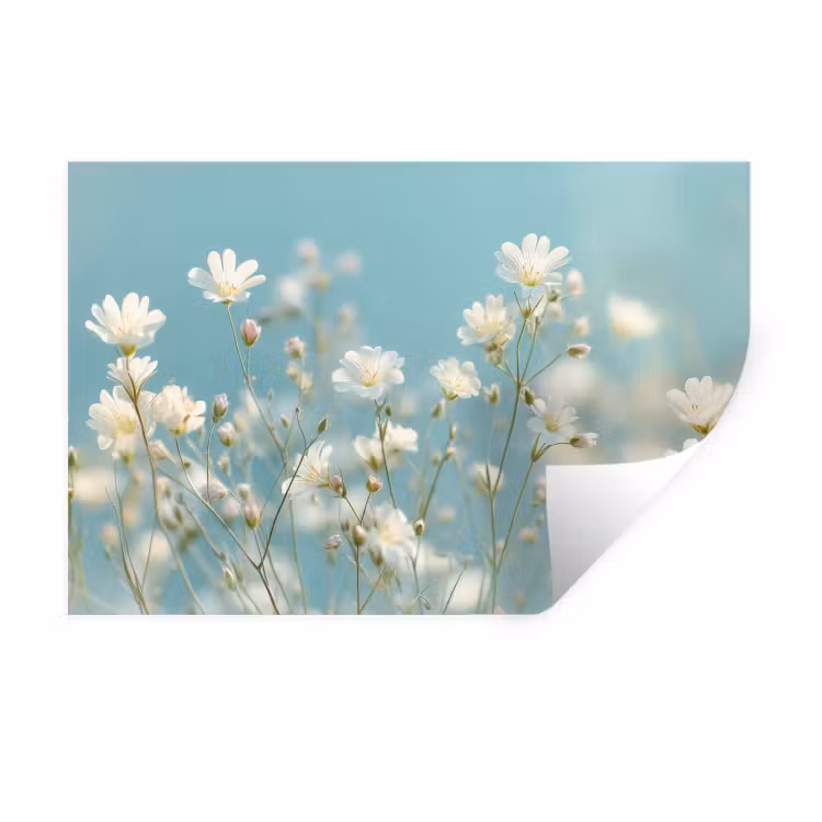 Muursticker - Stengels - Bloemen - Lucht - Wit — 1