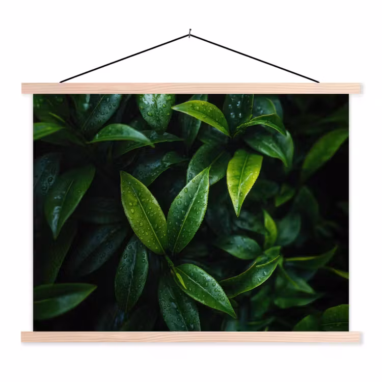 Schoolplaat - Bladeren - Regendruppels - Licht - Groen — 1
