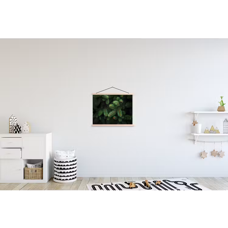 Schoolplaat - Sparrentakken - Knoppen - Naalden - Groen — 3