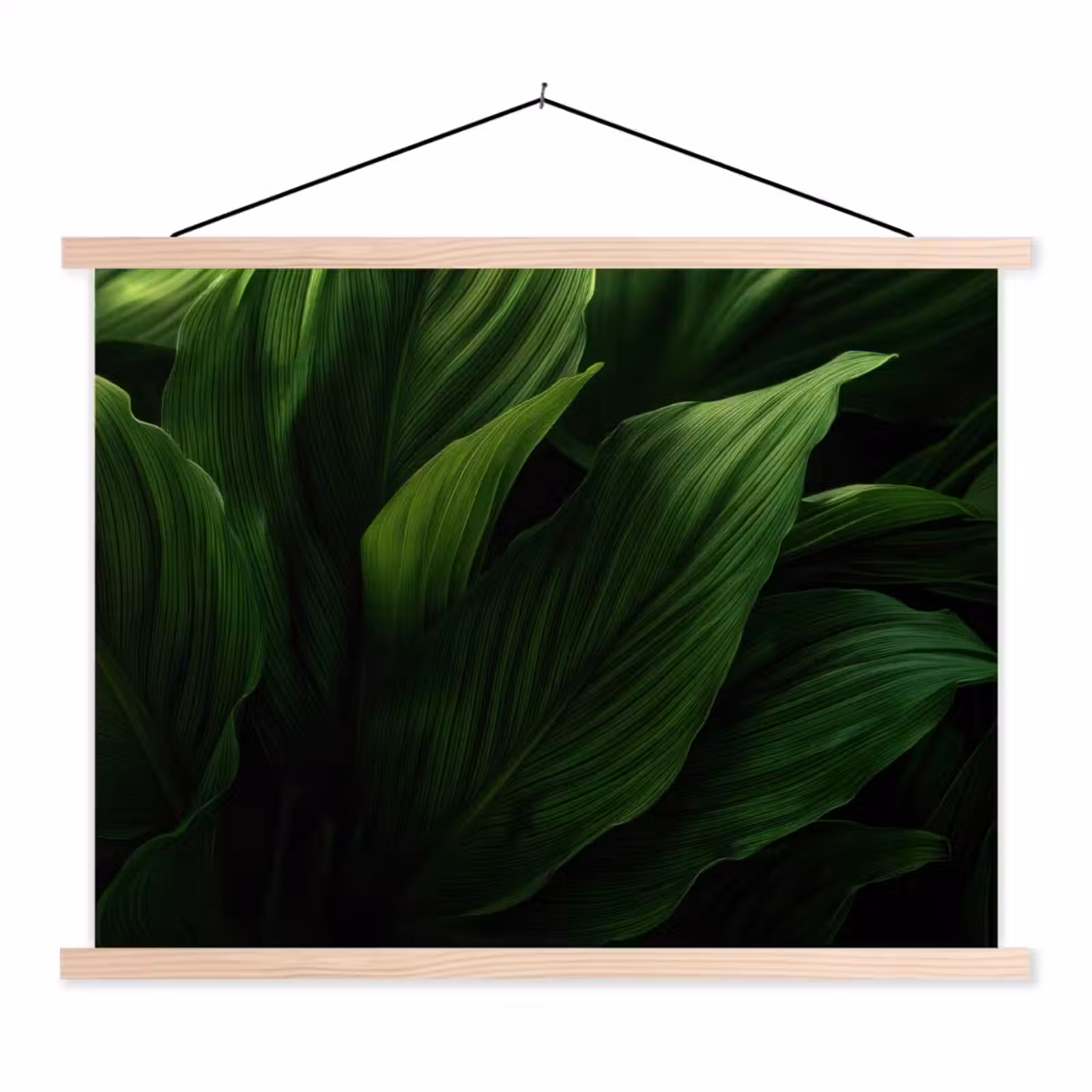 Schoolplaat - Bladeren - Schaduw - Groen - Textuur — 1