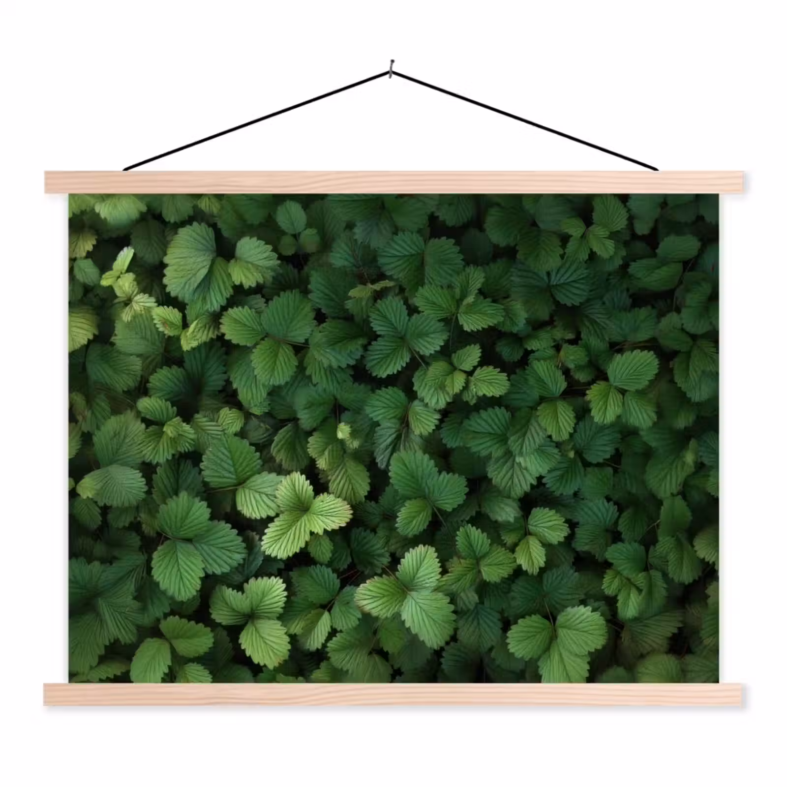 Schoolplaat - Groen - Bladeren - Kartel - Zonlicht — 1