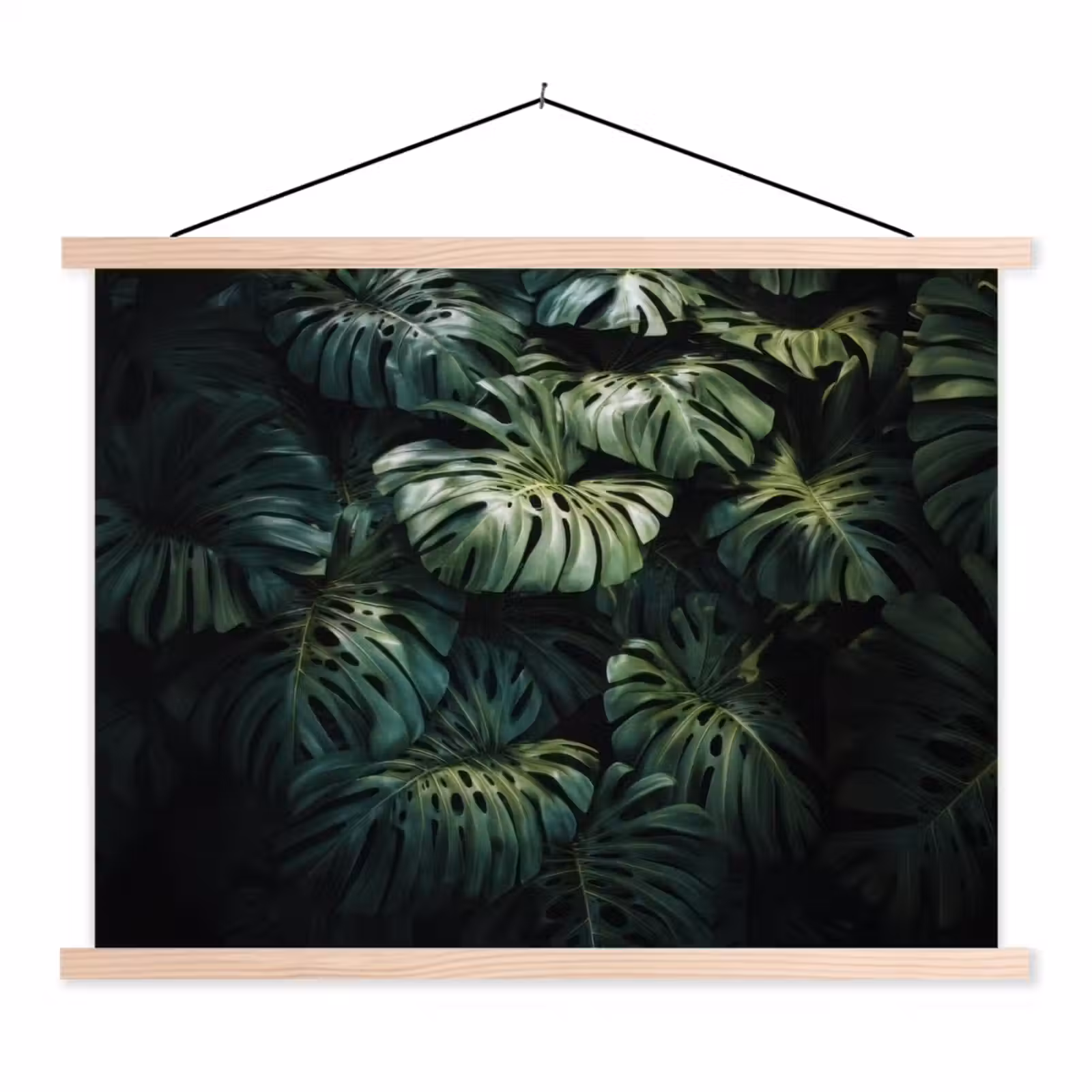 Schoolplaat - Plant - Monstera - Lichtinval — 1