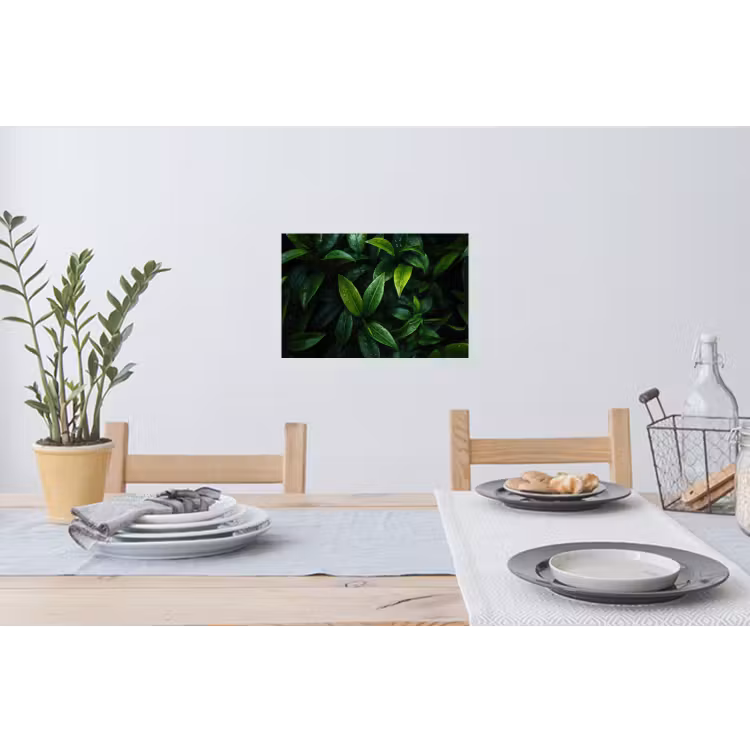Muursticker - Bladeren - Regendruppels - Licht - Groen — 3