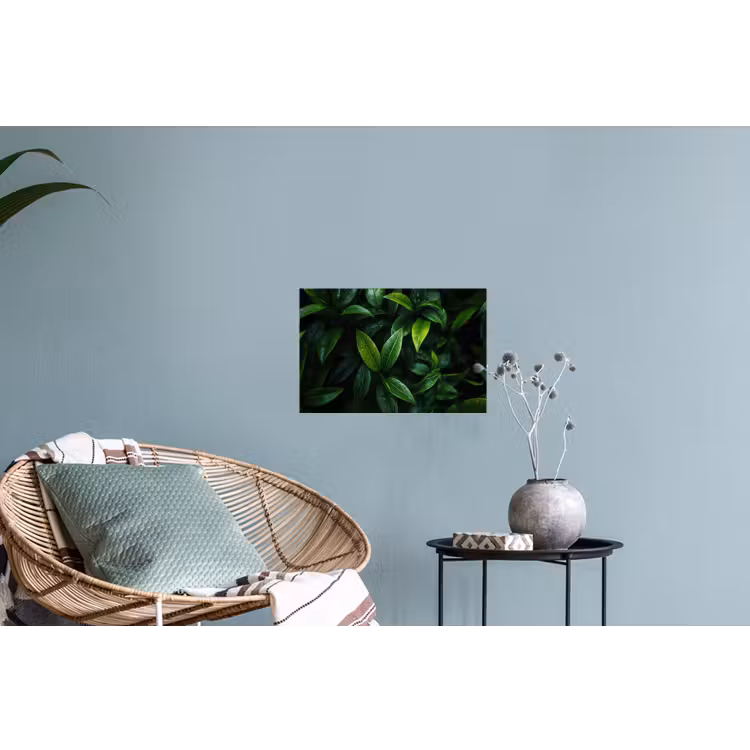 Muursticker - Bladeren - Regendruppels - Licht - Groen — 4