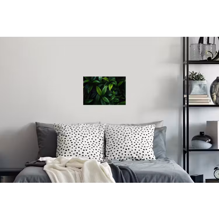 Muursticker - Bladeren - Regendruppels - Licht - Groen — 5