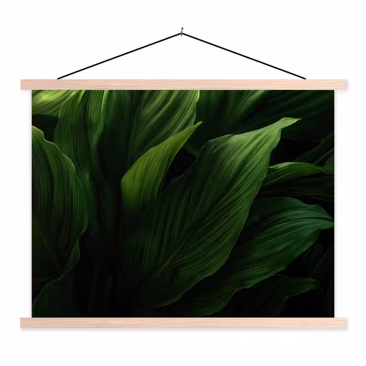 Schoolplaat - Bladeren - Schaduw - Groen - Textuur — 1