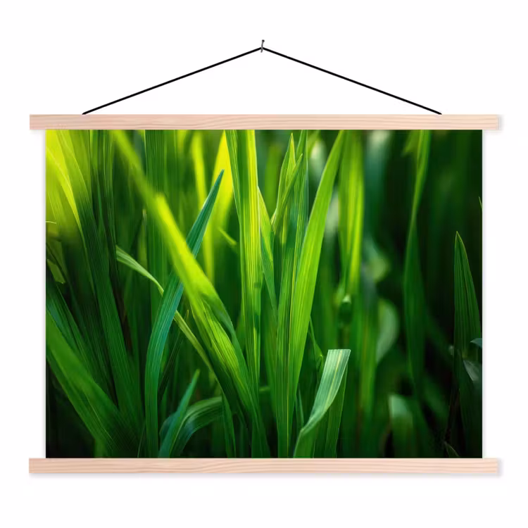 Schoolplaat - Grassprieten - Lichtinval - Groen — 1