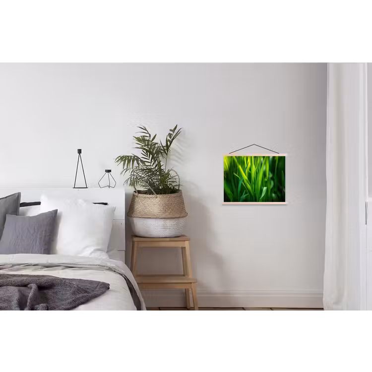 Schoolplaat - Grassprieten - Lichtinval - Groen — 2
