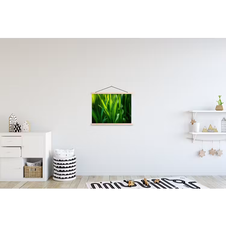 Schoolplaat - Grassprieten - Lichtinval - Groen — 3