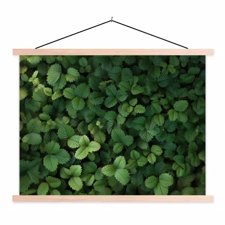 Schoolplaat - Groen - Bladeren - Kartel - Zonlicht — 1