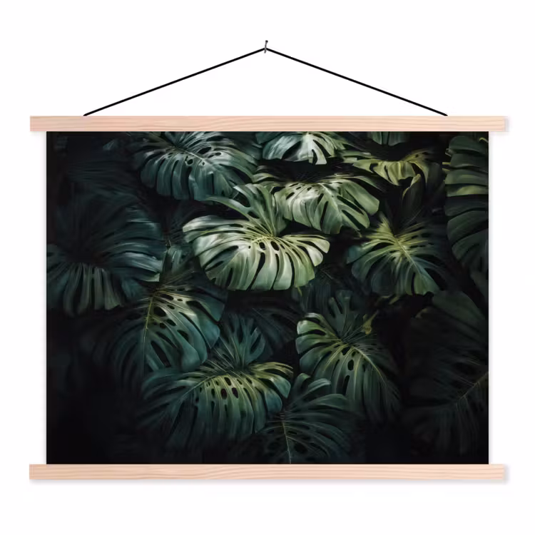 Schoolplaat - Plant - Monstera - Lichtinval — 1