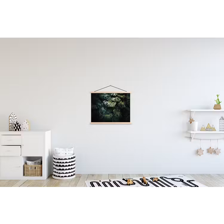 Schoolplaat - Plant - Monstera - Lichtinval — 3