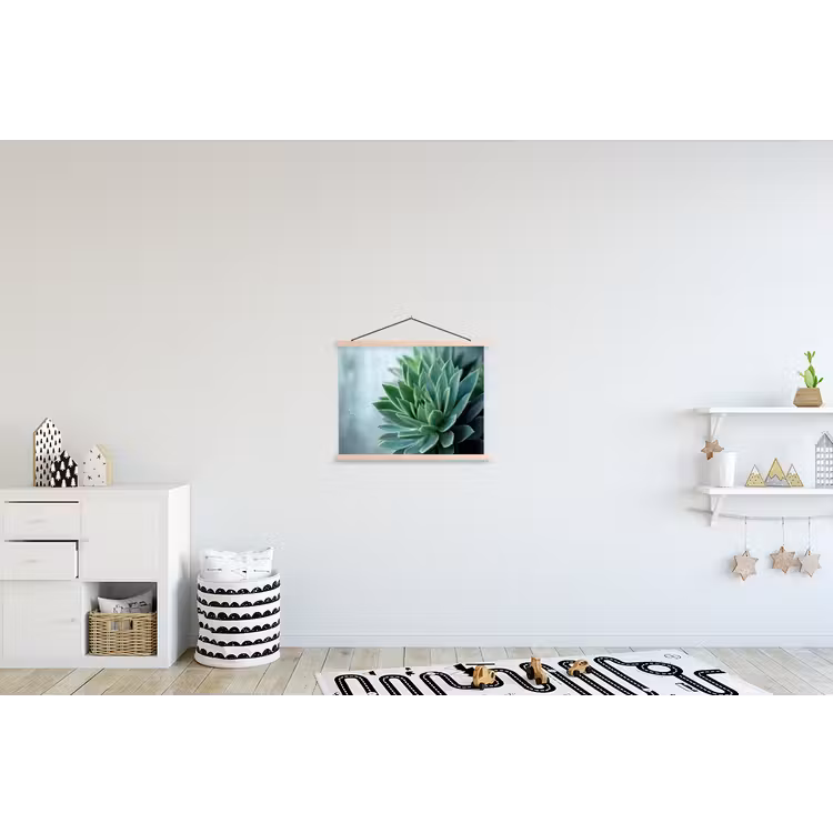 Schoolplaat - Vetplant - Bladeren - Groen - Wazig — 3