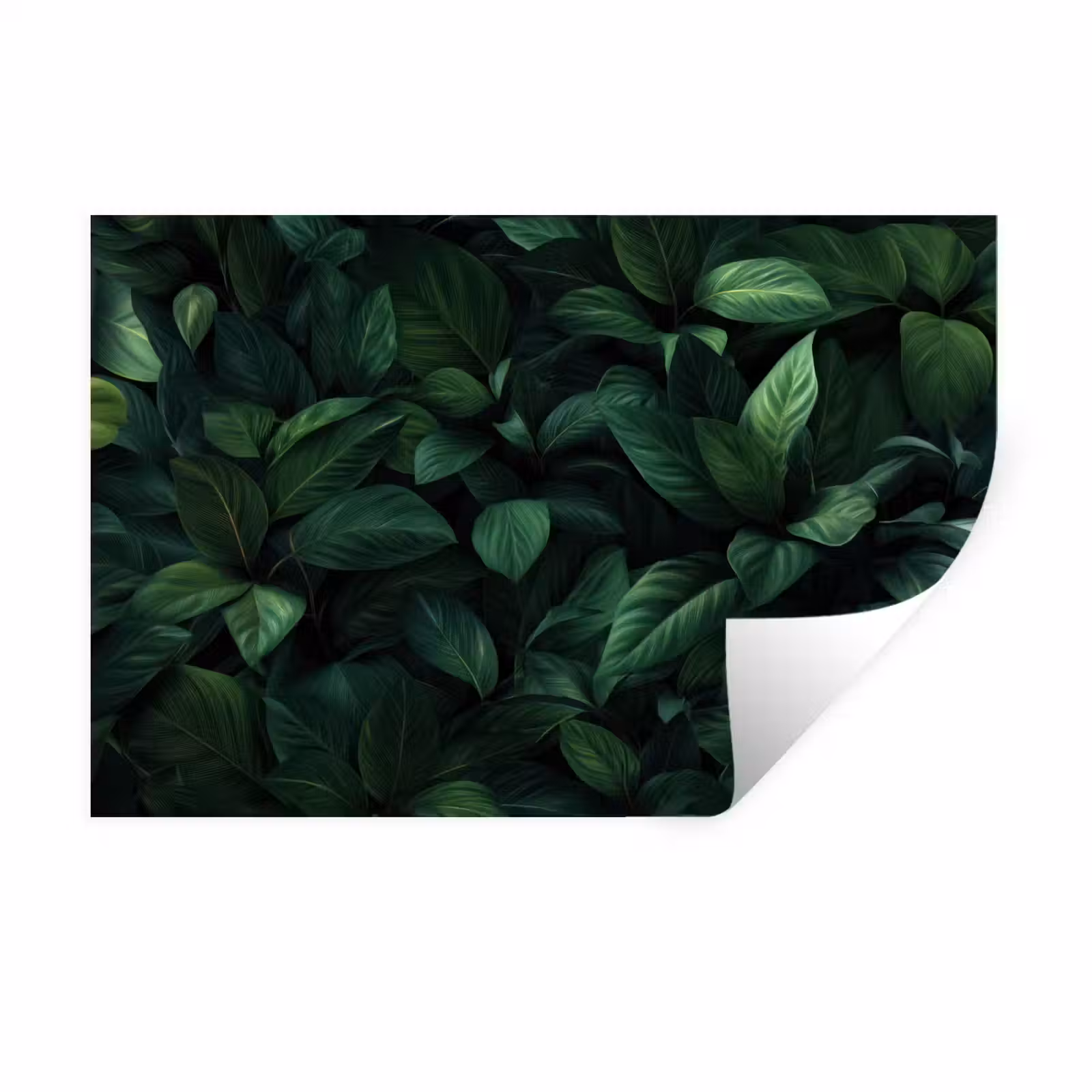 Muursticker - Bladeren - Ovaal - Groen - Nerven — 1