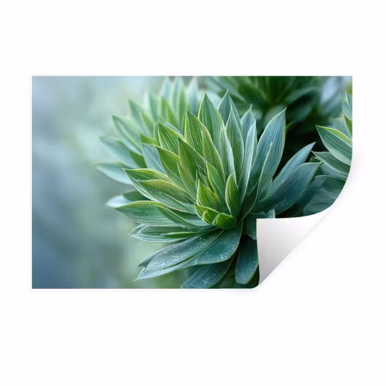 Muursticker - Blad - Plant - Groen - Textuur — 1