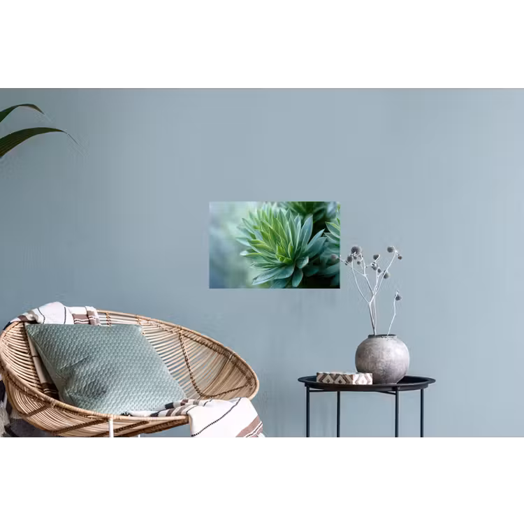Muursticker - Blad - Plant - Groen - Textuur — 4
