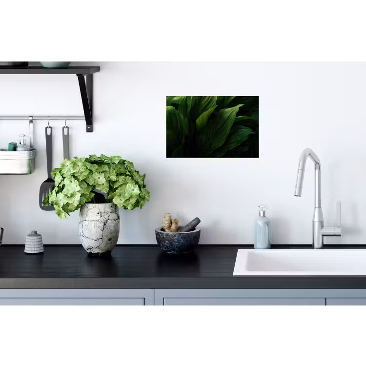 Muursticker - Bladeren - Schaduw - Groen - Textuur — 2