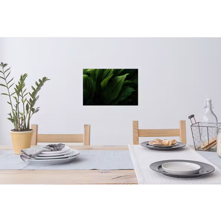 Muursticker - Bladeren - Schaduw - Groen - Textuur — 3