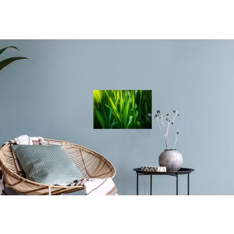Muursticker - Grassprieten - Lichtinval - Groen — 4