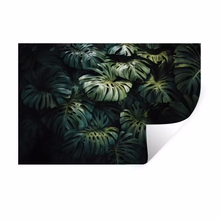 Muursticker - Plant - Monstera - Lichtinval — 1