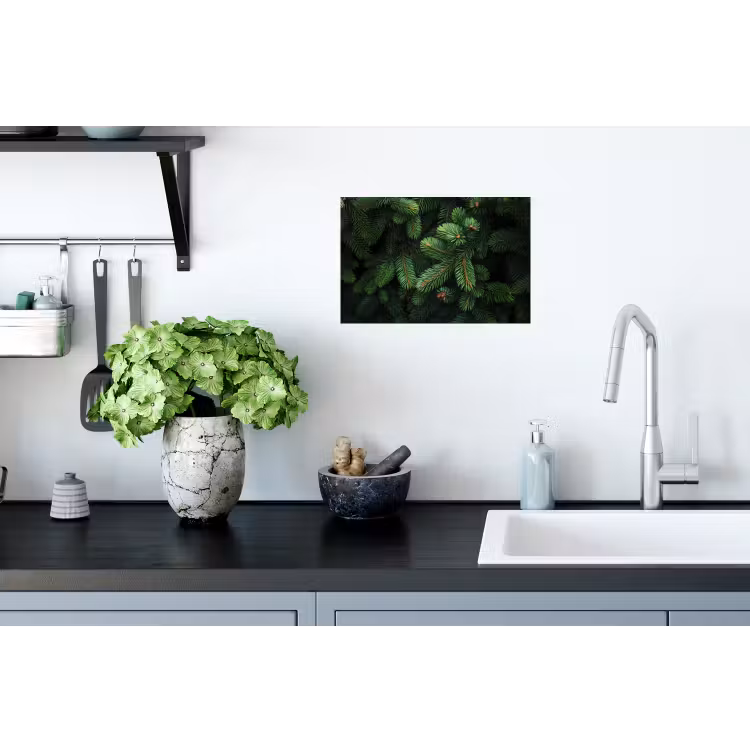 Muursticker - Sparrentakken - Knoppen - Naalden - Groen — 2