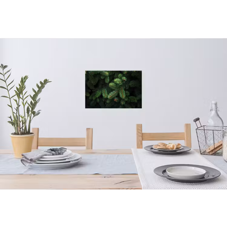 Muursticker - Sparrentakken - Knoppen - Naalden - Groen — 3