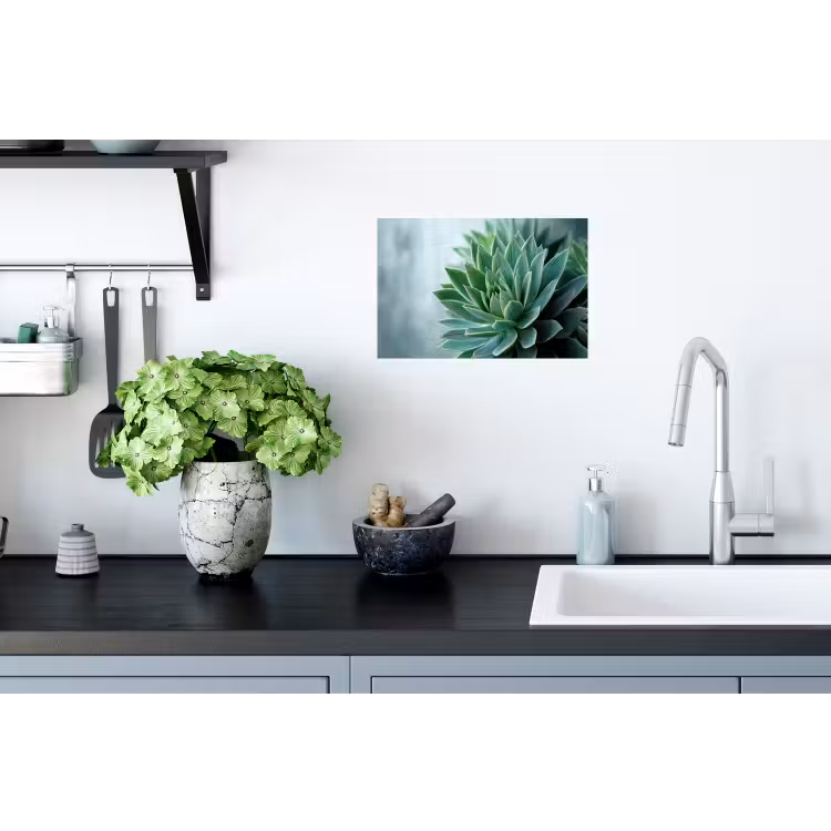 Muursticker - Vetplant - Bladeren - Groen - Wazig — 2