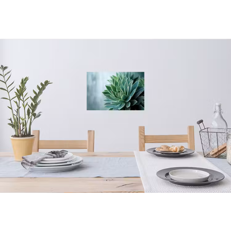 Muursticker - Vetplant - Bladeren - Groen - Wazig — 3