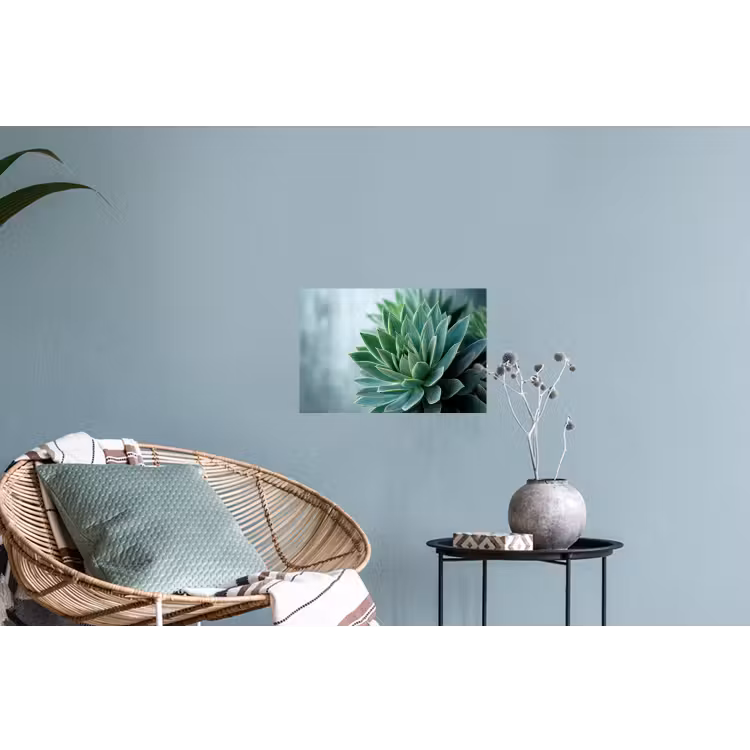 Muursticker - Vetplant - Bladeren - Groen - Wazig — 4