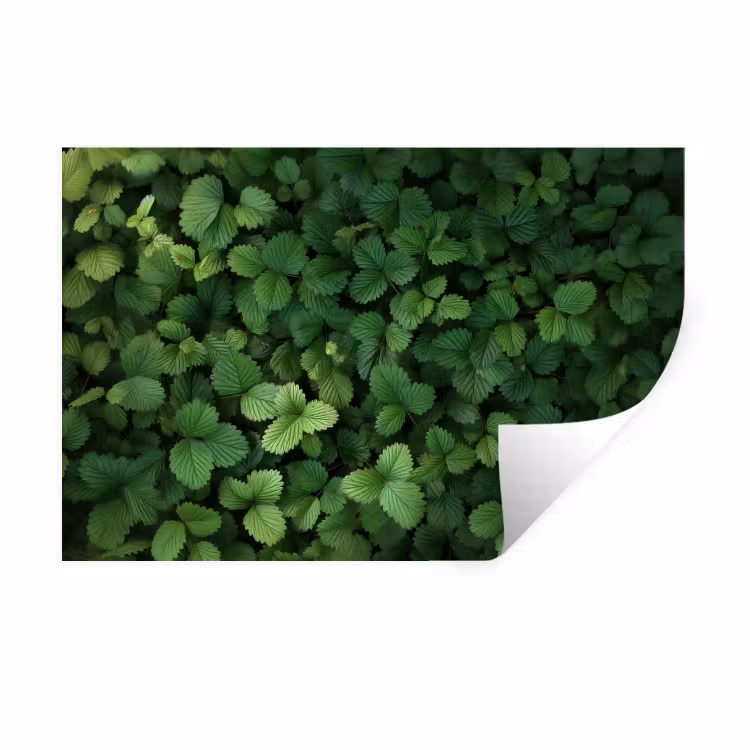 Muursticker - Groen - Bladeren - Kartel - Zonlicht — 1