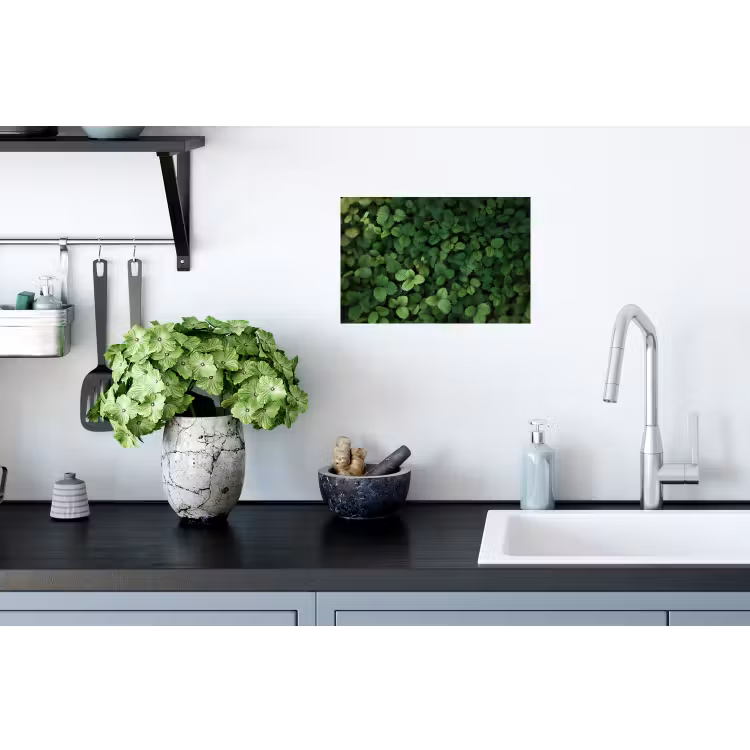 Muursticker - Groen - Bladeren - Kartel - Zonlicht — 2