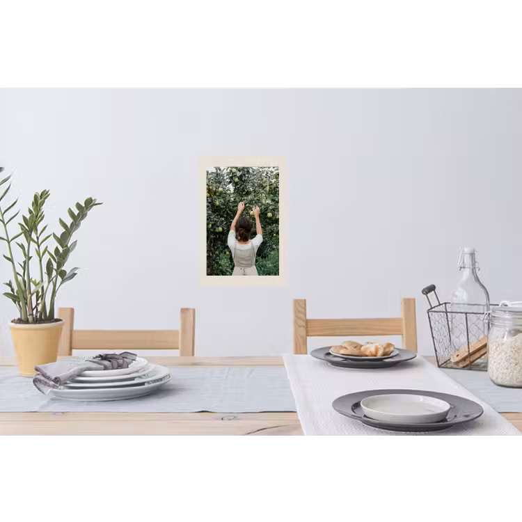 Muursticker - Boom - Appels - Plukken - Natuur — 3