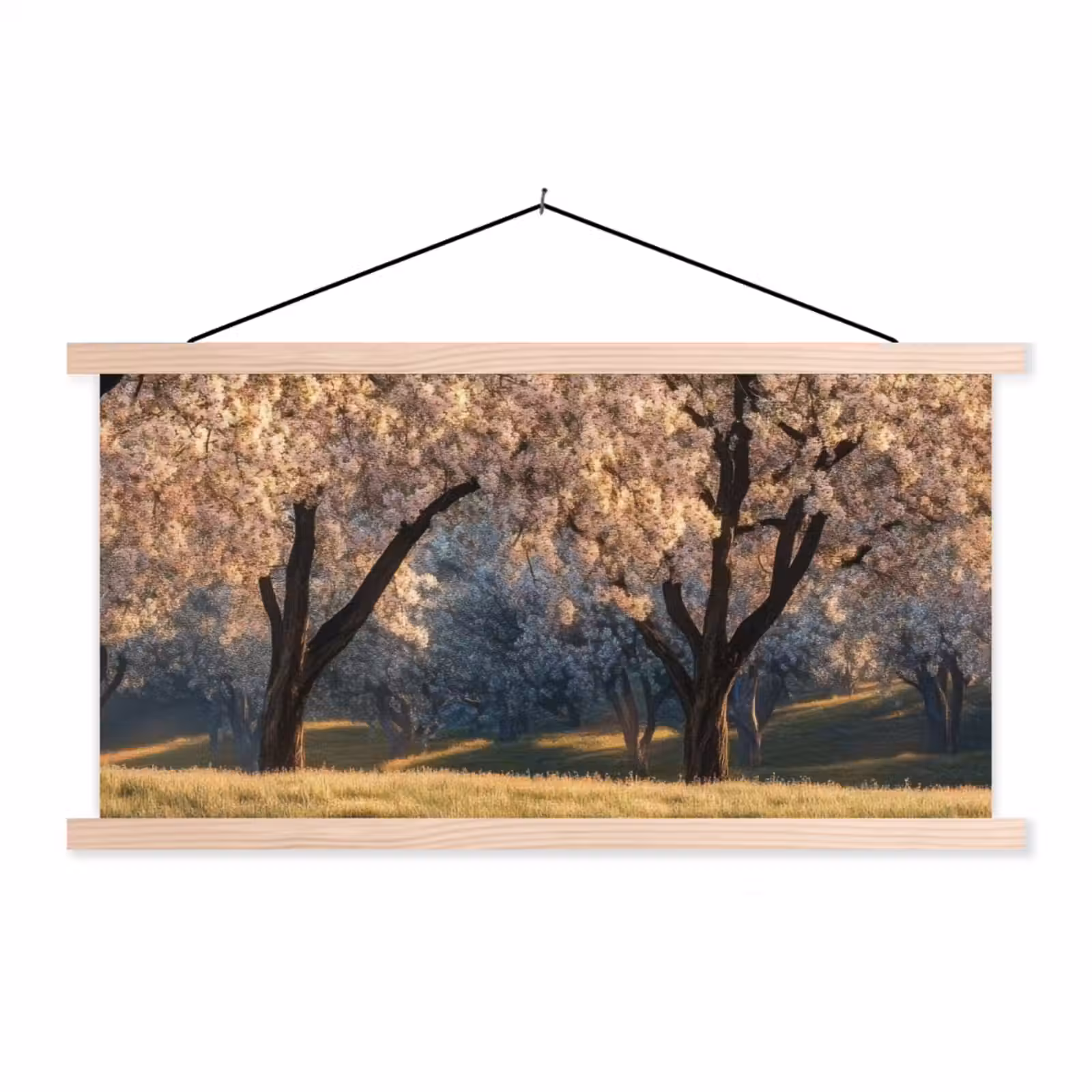 Schoolplaat - Bomen - Bloesem - Lente — 1