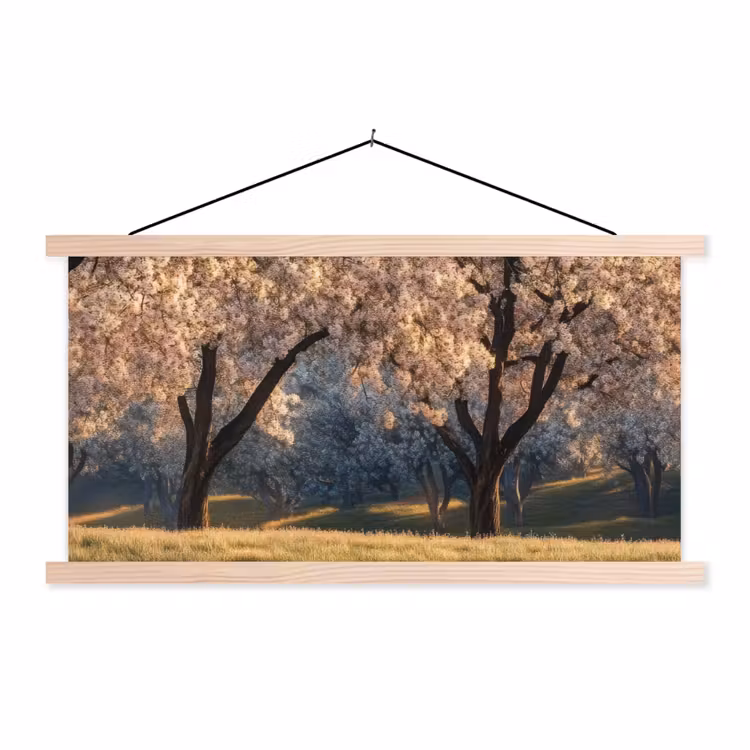 Schoolplaat - Bomen - Bloesem - Lente — 1