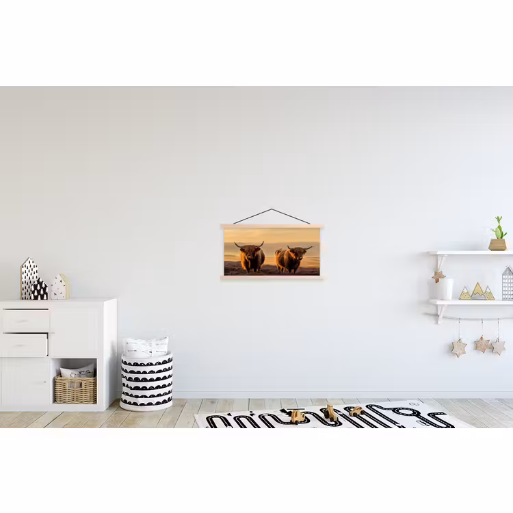 Schoolplaat - Schotse hooglanders - Heide - Landschap - Dieren — 3