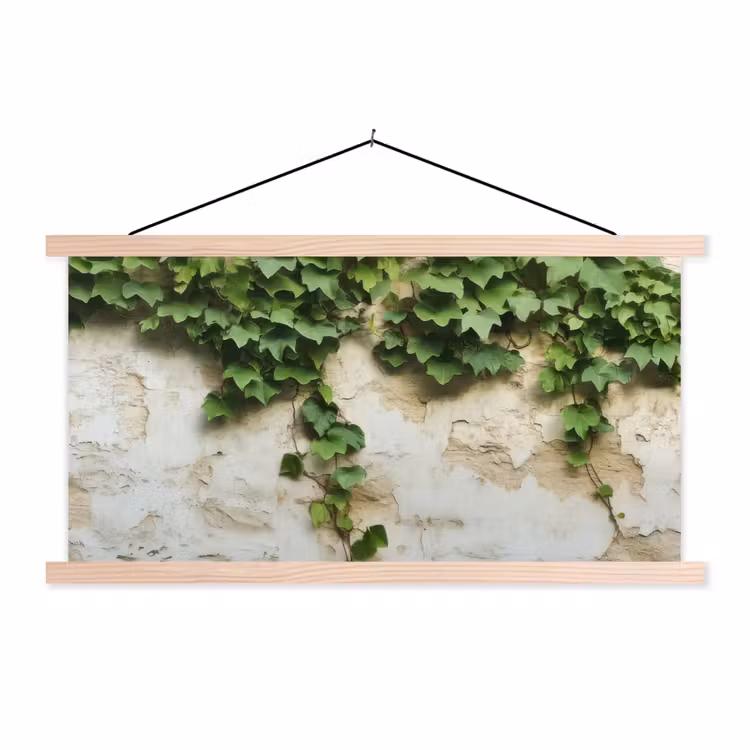 Schoolplaat - Klimop - Muur - Groen — 1