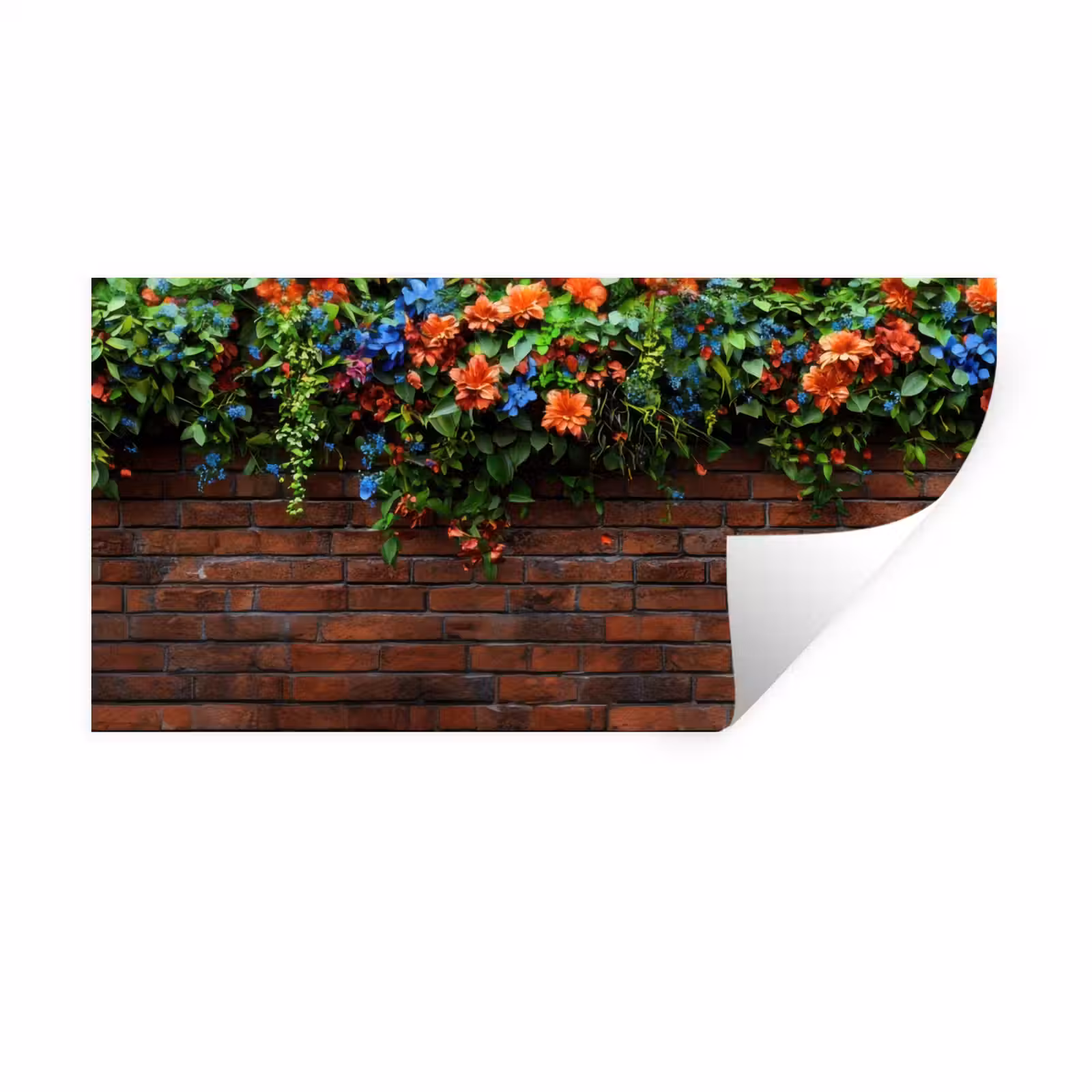 Muursticker - Bloemen - Muur - Groen - Oranje — 1