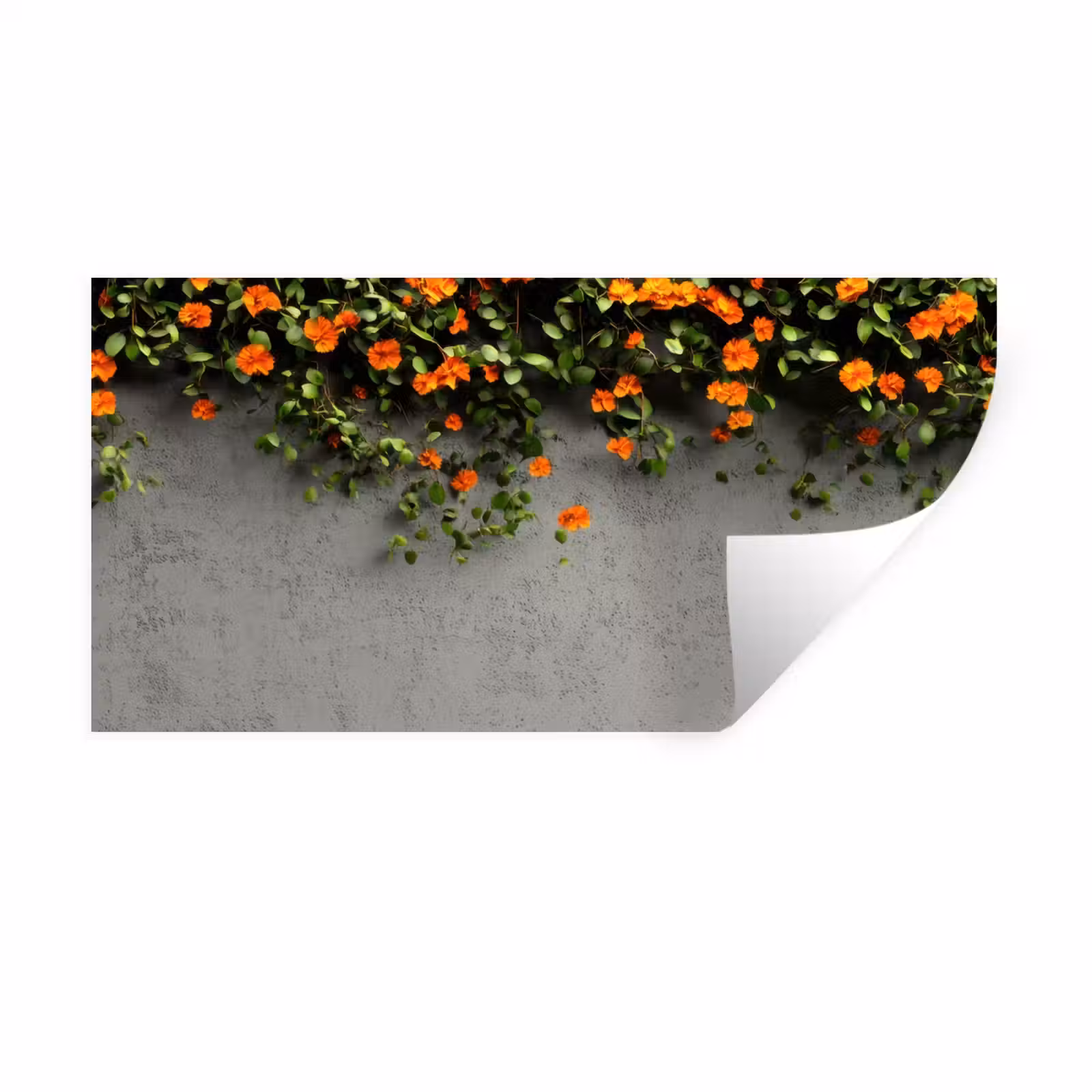 Muursticker - Bloemen - Muur - Oranje — 1