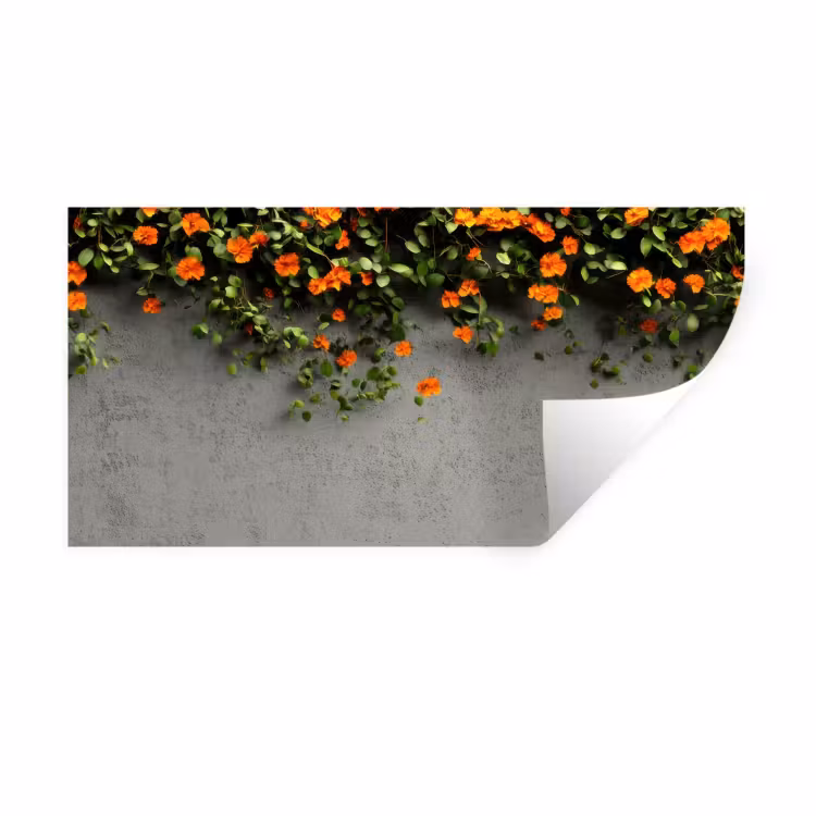 Muursticker - Bloemen - Muur - Oranje — 1