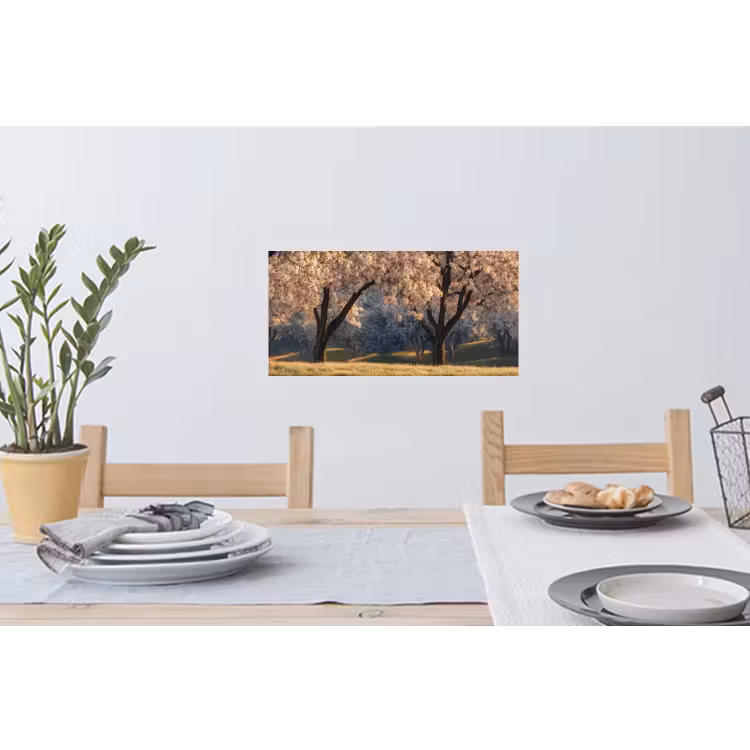 Muursticker - Bomen - Bloesem - Lente — 3