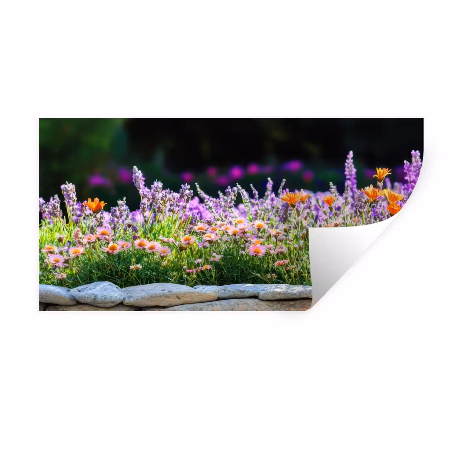 Muursticker - Bloemen - Steenrand - Kleurrijk — 1