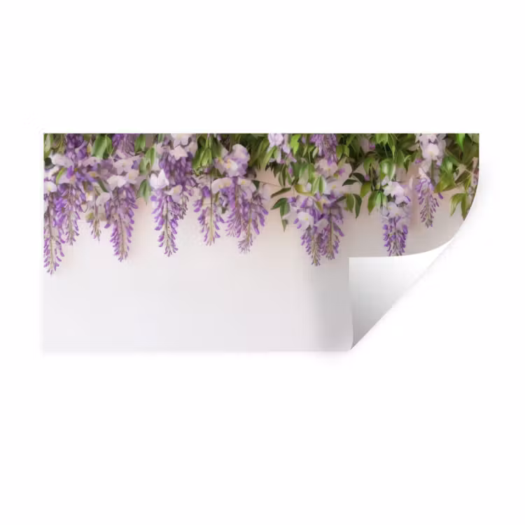Muursticker - Blauwe regen - Bloemen - Paars — 1