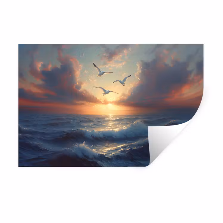 Muursticker - Meeuwen - Zonsondergang - Zee - Wolken — 1