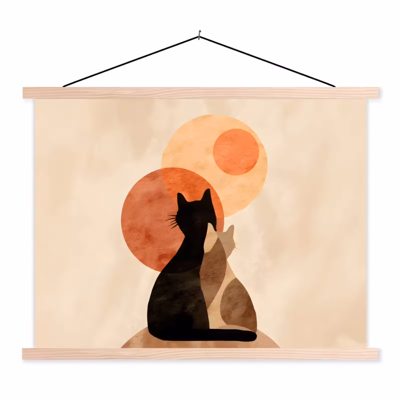 Schoolplaat - Katten - Zwart - Abstract - Cirkels — 1