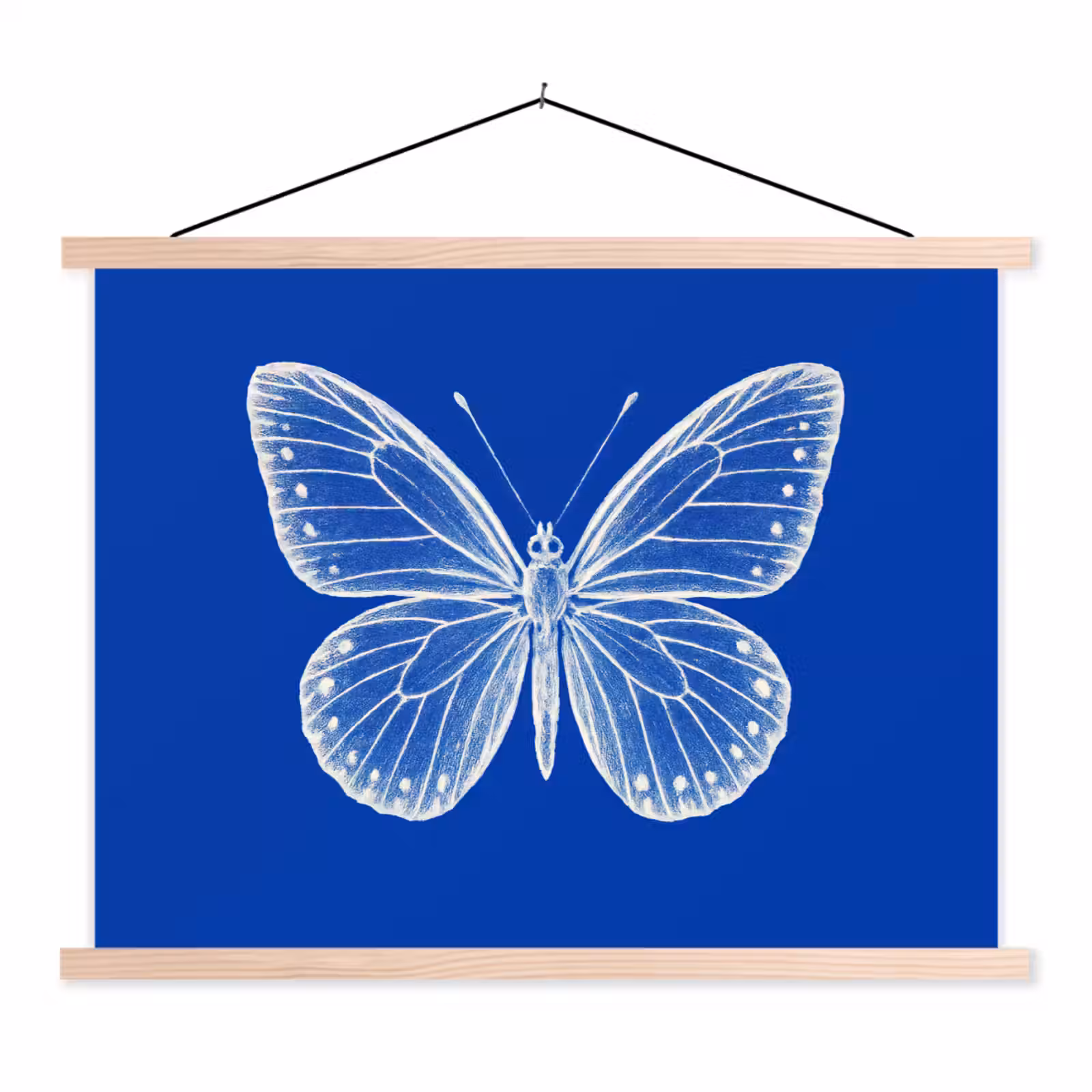 Schoolplaat - Vlinder - Wit - Getekend - Stippen — 1