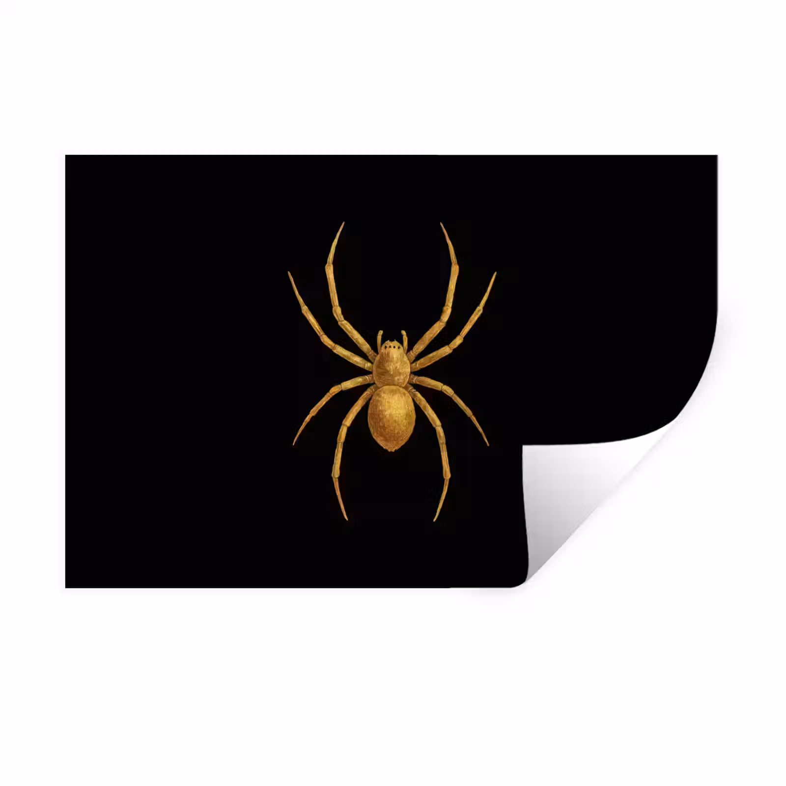 Muursticker - Spin - Goud - Minimalistisch - Poten — 1