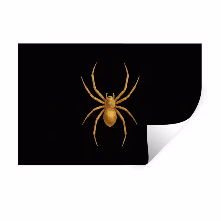 Muursticker - Spin - Goud - Minimalistisch - Poten — 1