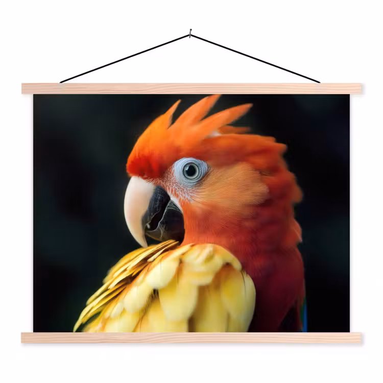 Schoolplaat - Close-up - Papegaai - Veren - Oranje — 1
