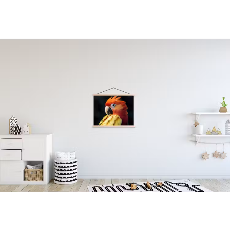 Schoolplaat - Close-up - Papegaai - Veren - Oranje — 3